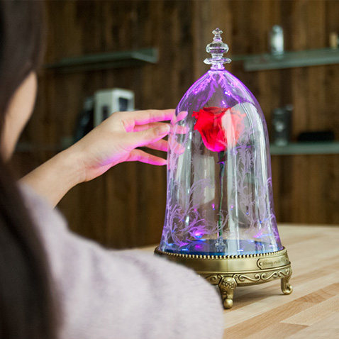 迪士尼正版香港卡美 美女与野兽 永生玫瑰花蓝牙音箱情人节礼物