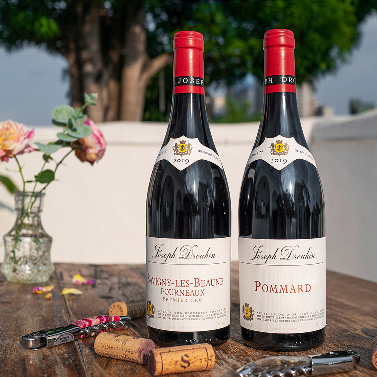 法国勃艮第玻玛萨维尼博纳一级园