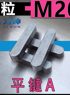 A3销键GB1096A型平键M20*12*40*50*63*80*90*150*320键子平建条