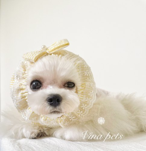Vina手作宠物定制护毛头套