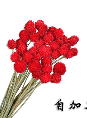 千日红干花草莓果小花束红色 家居花束DIY材料永生花干花高级感