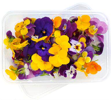 食用摆盘装饰三色堇食用新鲜蛋糕