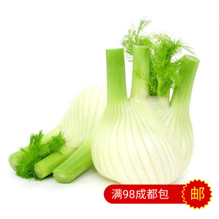 西餐配菜 新鲜香料 茴香头 fennel 250g