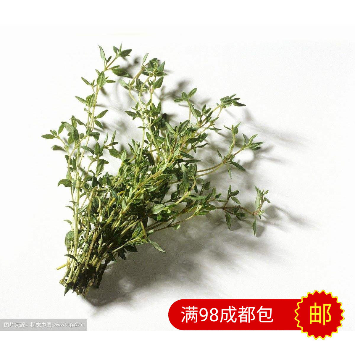 新鲜 百里香 鲜香料西餐装饰酒店50g
