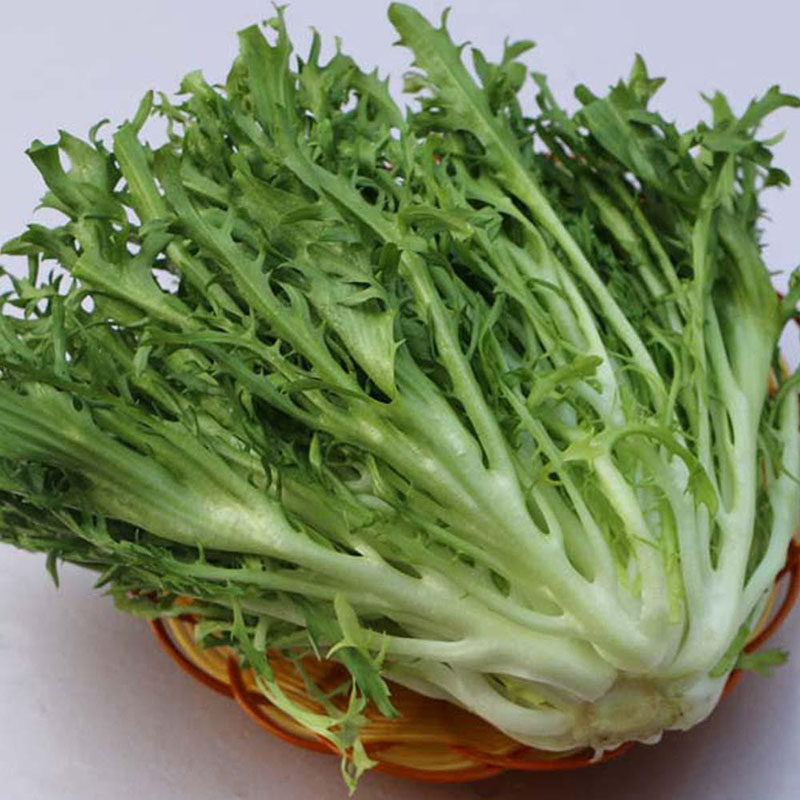 苦苣 苦菊 西餐沙拉菜2500g 新鲜蔬菜 苦叶生菜有同城配送5斤