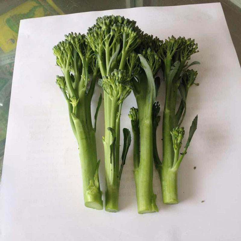 西兰花苔新鲜青花苔芥兰笋迷你小西兰花蔬菜500g青花菜