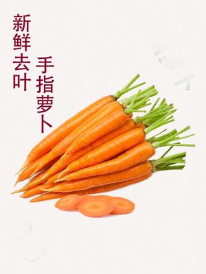 仁恺生鲜去叶手指萝卜500g