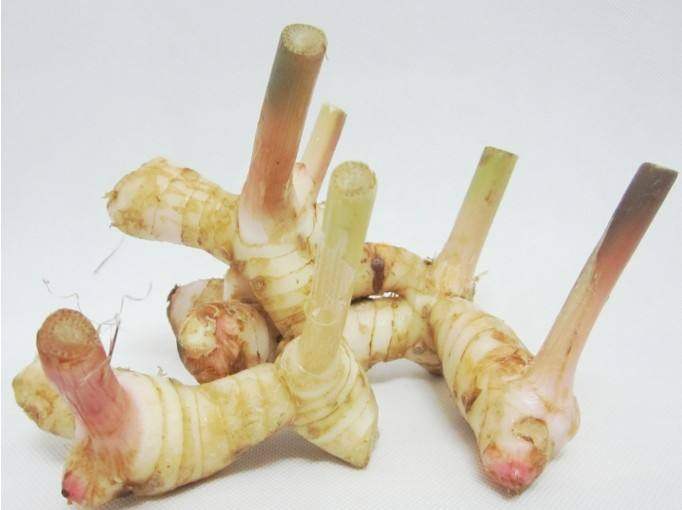 白皮南姜 冬阴功调料 良姜芦苇 新鲜潮汕嫩姜500g 五份包邮,水产肉类/新鲜蔬果/熟食,生姜/南姜,淘宝优惠券,粉丝福利购,淘宝优惠卷