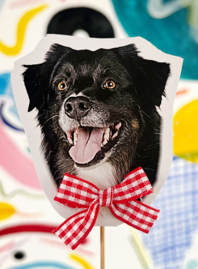 宠物蛋糕定制照片头像一枚