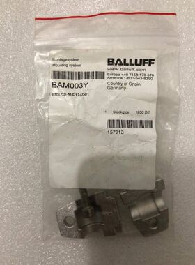 BAM003YBMSCS-M-D12-IZ-01巴鲁夫实物拍摄