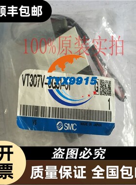 电磁阀VT307V-5GS1-01 01F