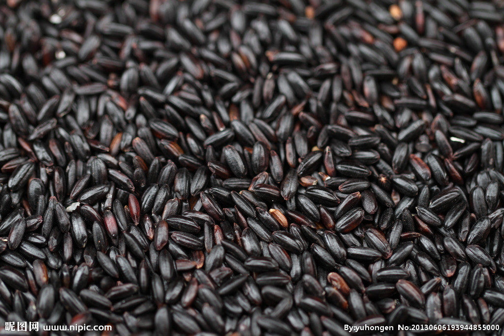 黑米 陕西洋县黑米黑香米陕西特产洋县黑米包邮500g