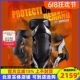 pod碳纤维K4K8护膝摩托车防护具机械腿防摔护腿拉力防护越野装 备