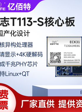 全国产全志T113-S嵌入式Linux核心板双核Cortex-A7+RISC-V工控