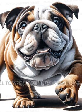 新款狗狗贴画斗牛犬沙皮狗动物贴画贴墙车身门贴玻璃高级防水自贴
