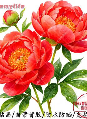 传统牡丹花无背景自粘贴纸室内外
