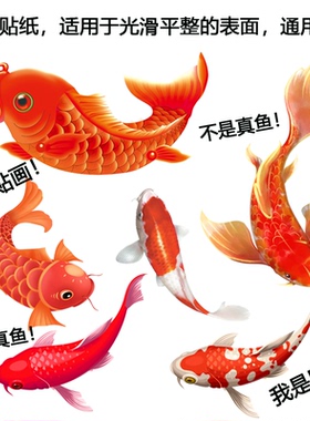 鱼贴纸大眼睛金鱼吉祥锦鲤新款小鱼车贴图案爆款贴纸自粘