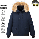 冬装新款飞行夹克青年男上衣短款加厚保暖修身羽绒服潮9099-P130，男装夹克，星座1210A
