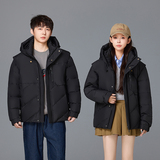 可拆卸袖羽绒服男休闲潮流小众韩版高品质短款外套男YR2411-P200，男装羽绒服，星座1210A