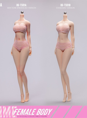 预售定金86TOYS 1/6 铂金硅胶女素体 美白带妆版 86-TS01-A/标准B