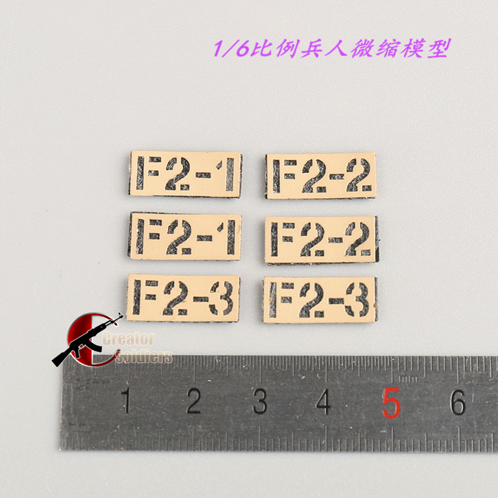 DAMTOYS1/6兵人78088臂章模型