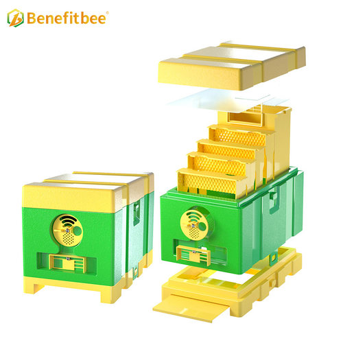 益蜂塑料养蜂小蜂箱整套工具育王