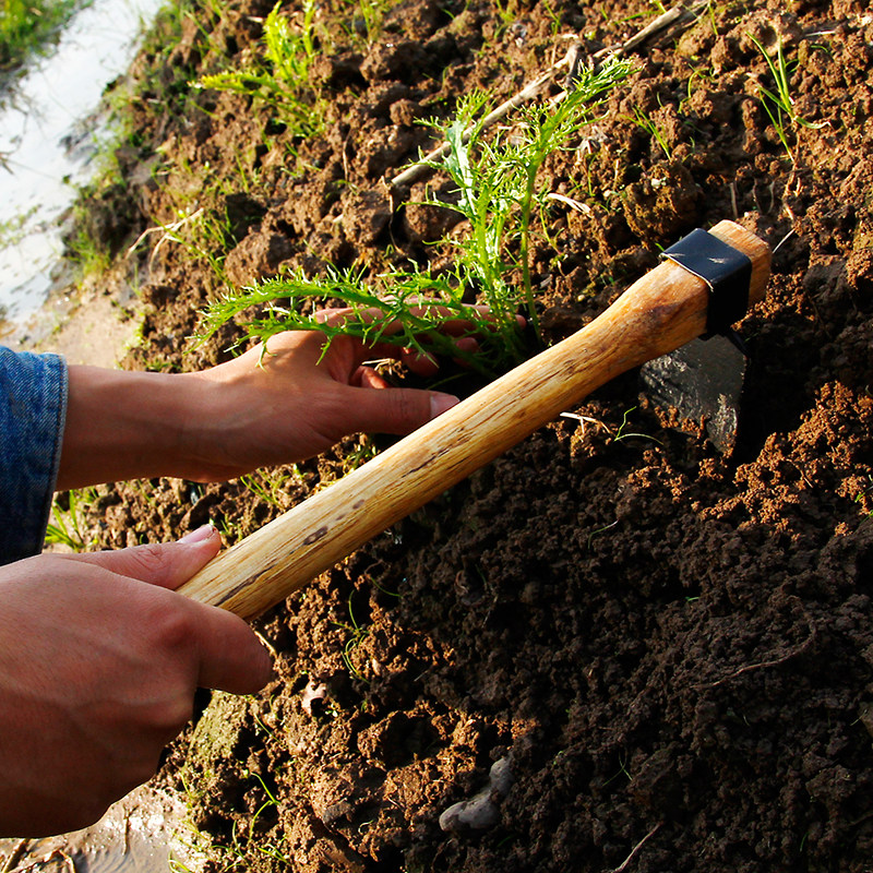 小锄头耙子家用菜园除草儿童户外小锄头种菜种花锄头耙子两用锄头