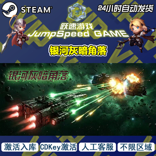 Steam游戏 银河灰暗角落 激活入库 人工客服 PC端 售后无忧