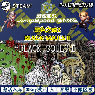 不限区域 Steam游戏 售后无忧 II激活入库 SOULS 黑色之魂2 BLACK