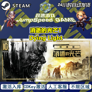 Steam游戏 消逝的光芒1 Dying Light 激活入库 PC端游戏 人工客服