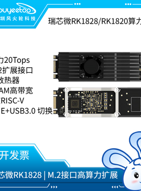 瑞芯微RK1828MC0 M.2计算力卡RK1820/1828大模型AI人工智能开发板