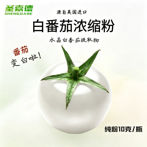 100%白番茄粉进口原料全身