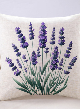 新款客厅沙发抱枕浪漫紫色靠枕座椅靠背垫薰衣草手绘清新床上靠垫