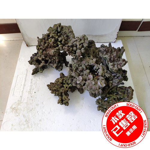 海缸珊瑚死石造景 海缸造景 死石 60 90缸造景 适合60以上