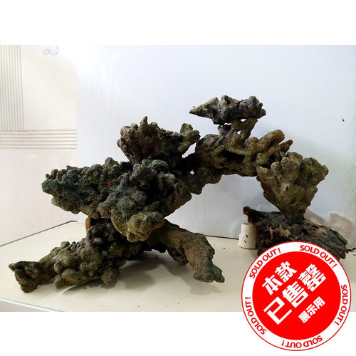 死石海缸适合以上lps珊瑚