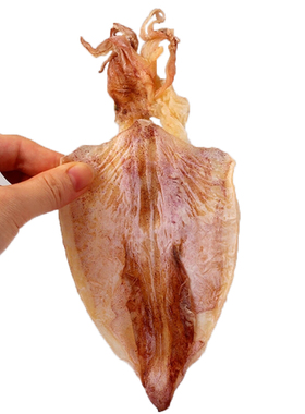 海南鱿鱼干烧烤专用淡干手撕芥末碳烤摊款A12345海鲜干货空气炸锅