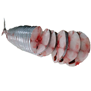 海南海钓康氏马鲛鱼精品中段新鲜活冷冻三亚文昌铺前琼海万宁陵水