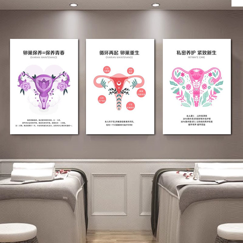 卵巢保养私密养护挂画 医美美容院抗衰装饰画月子馆产后修复壁画