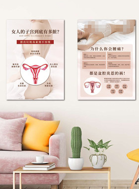 子宫保养挂画 妇产科医院月子馆墙装饰画盆腔炎产康理疗无框壁画