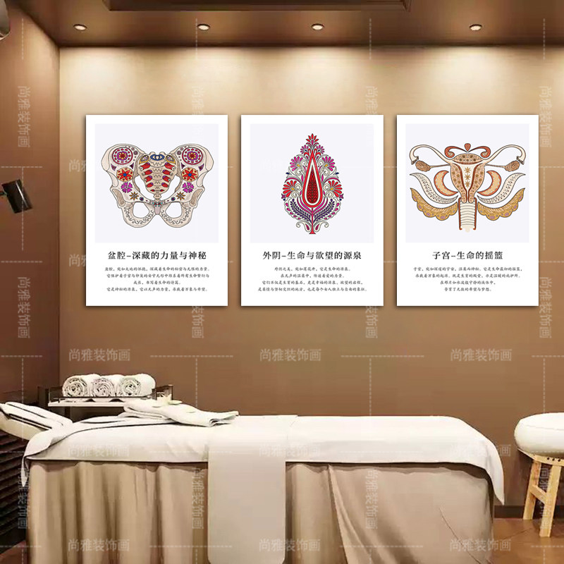 女性子宫骨盆保养挂画  产康美现代装饰画