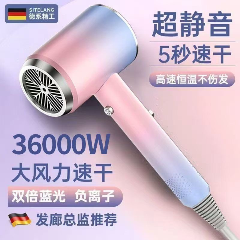 德国电暖风机速干家用大功率负离子护发静音冷热学生宿舍电吹风筒