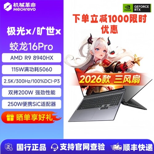 机械革命蛟龙极光独显游戏本电脑