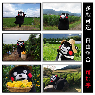 装 卡通墙画 熊本熊 摆台 Kumamon 实木 一张画 可爱熊 饰画 背景