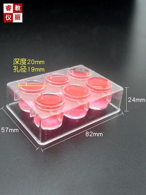 塑料井穴板 6孔井穴板 井穴板带编号 点滴板 实验用品 教学器材