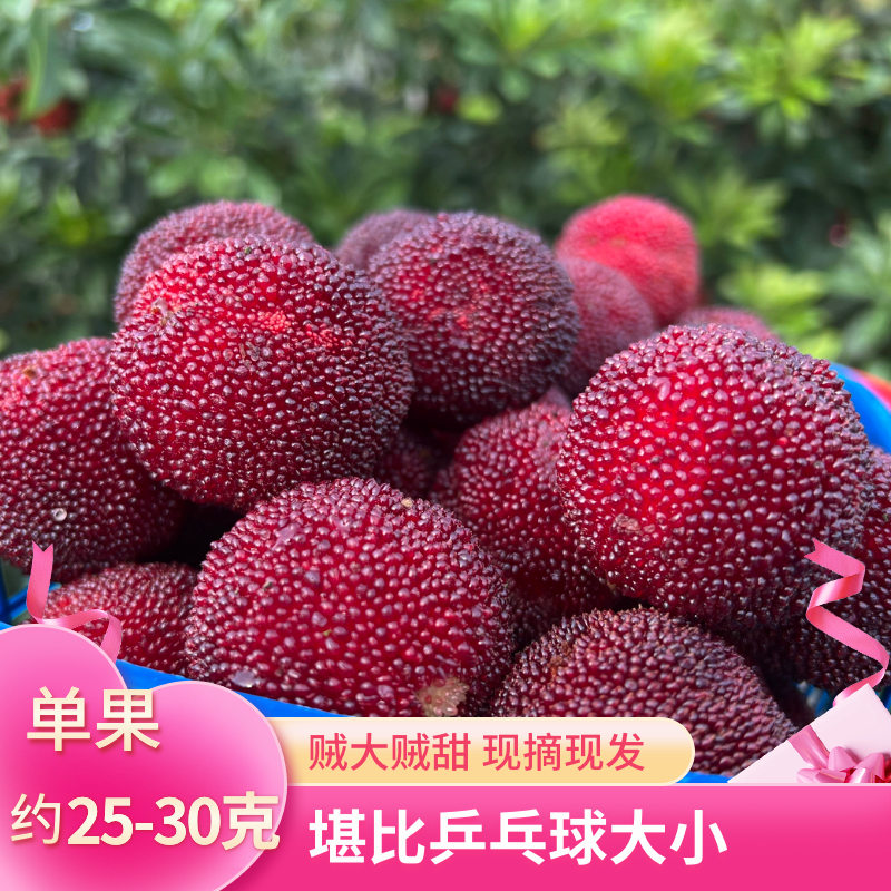 【9A 大果】超大超甜！仙居东魁杨梅新鲜水果大杨梅现摘现发