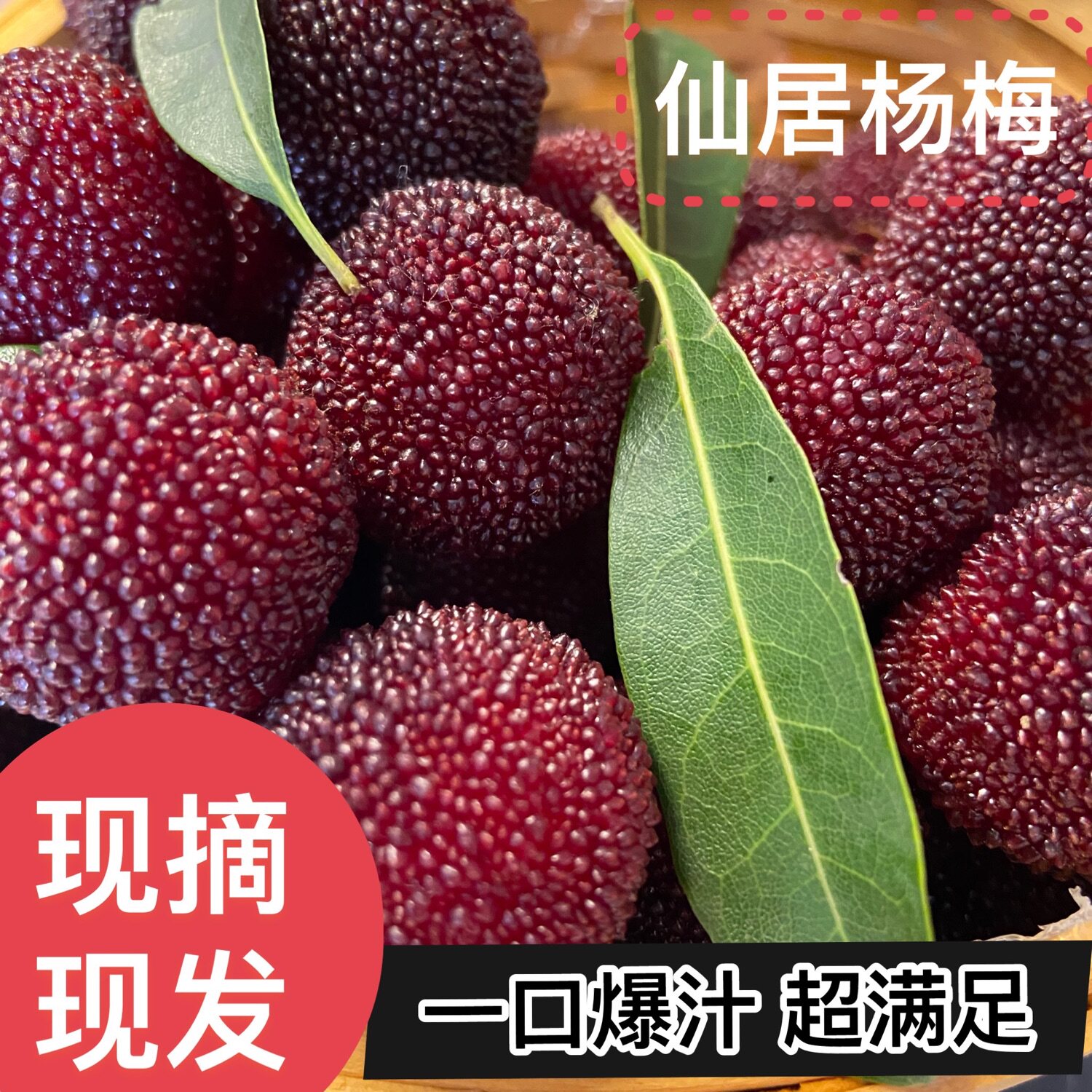 【珊珊黑炭杨梅】杨梅新鲜水果荸荠黑炭颗粒杨梅孕妇水果现摘现发