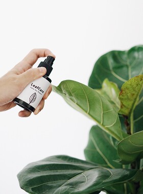 DOLV 豆绿 叶片护理液 深度滋养叶片 观叶植物 清洁叶片专用