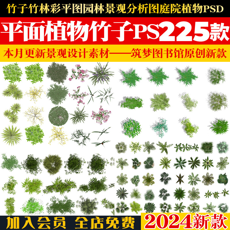 竹子竹林平面彩平图园林景观分析图庭院植物psd免抠源文件ps素材