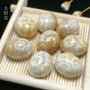 特惠原矿天然珊瑚玉龟壳龟背富甲天下菊花玉石吊坠手链配饰男女款