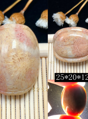 化石珊瑚玉龟壳配饰手串